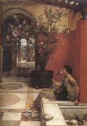 An Oleander (mk23) Alma-Tadema, Sir Lawrence